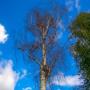 © Copyright - Raphael Kessler 2013 - England - Sheffield Park & Garden