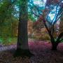 © Copyright - Raphael Kessler 2013 - England - Sheffield Park & Garden