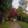 © Copyright - Raphael Kessler 2013 - England - Sheffield Park & Garden - Path