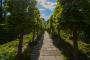 (c) Copyright - Raphael Kessler 2013 - England - Sissinghurst - Path