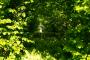 (c) Copyright - Raphael Kessler 2013 - England - Sissinghurst - Statue
