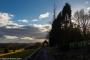 (c) Raphael Kessler 2015 - Sussex - Standen 12