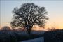 (c) Copyright - Raphael Kessler 2011 - England - Stratford snowy countryside