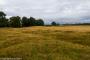 © Copyright - Raphael Kessler 2015 - England - Sutton Hoo field