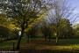 © Copyright - Raphael Kessler 2015 - England - Whipsnade Tree Cathedral 1