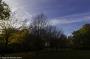 © Copyright - Raphael Kessler 2015 - England - Whipsnade Tree Cathedral 20