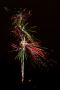 (c) Copyright - Raphael Kessler 2012 - Diwali Fireworks
