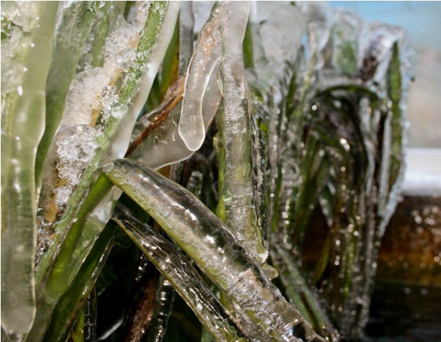 Ice and Snow