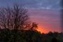 (c) Copyright - Raphael Kessler 2012 - Winter Dawn