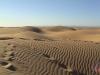 (c) Copyright - Raphael Kessler 2011 - Morocco - Sahara - Mhamid - Desert dunes