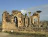 (c) Copyright - Raphael Kessler 2011 - Morocco - Volubilis Basilica