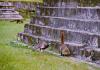 (c) Copyright - Raphael Kessler 2011 - Guatemala - Tikal - Royal Turkey and Coatamundi