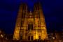 (c) Copyright - Raphael Kessler 2014 - Belgium - Brussels - Cathedral