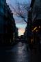 (c) Copyright - Raphael Kessler 2014 - Belgium - Brussels - Twilight street