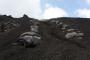 (c) Copyright Raphael Kessler 2012 - Italy - Sicily - Etna - 