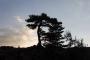 (c) Copyright Raphael Kessler 2012 - Italy - Sicily - Etna - North side