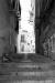 (c) Copyright Raphael Kessler 2012 - Italy - Sicily - Palermo - Alleyway doggy