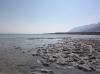 (c) Copyright - Raphael Kessler 2011 - Israel - Dead Sea - the salty shore