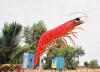 (c) Copyright - Raphael Kessler 2011 - Big Prawn