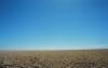 (c) Copyright - Raphael Kessler 2011 - Bush Flat