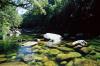 (c) Copyright - Raphael Kessler 2011 - Daintree