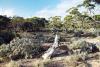 (c) Copyright - Raphael Kessler 2011 - Australia - Nullarbor