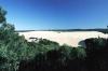 (c) Copyright - Raphael Kessler 2011 - Fraser Island - Knifeblade