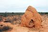 (c) Copyright - Raphael Kessler 2011 - Termite Mound