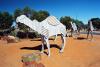 (c) Copyright - Raphael Kessler 2011 - Australia - Norseman camels
