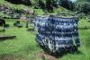 (c) Copyright - Raphael Kessler 2011 - Fiji - Viti Levu - Grave with curtains