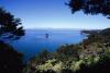 (c) Copyright - Raphael Kessler 2011 - New Zealand - Abel Tasman - sea and trees