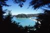 (c) Copyright - Raphael Kessler 2011 - New Zealand - Abel Tasman - sea and trees