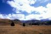 (c) Copyright Raphael Kessler 2011 - New Zealand - Corn fields and mountains