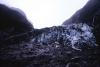 (c) Copyright Raphael Kessler 2011 - New Zealand - Franz Josef glacier