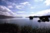 (c) Copyright Raphael Kessler 2011 - New Zealand - Lake and reeds