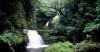 (c) Copyright Raphael Kessler 2011 - New Zealand - McClean waterfalls