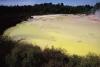 (c) Copyright - Raphael Kessler 2011 - New Zealand - Rotorua - Wai-o-Tapu - Yellow pond