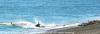 (c) Copyright - Raphael Kessler 2011 - Argentina - Peninsula Valdez - Orca attacks
