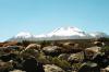 (c) Copyright - Raphael Kessler 2011 - Chile - Torres del Paine - Altiplano