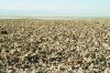 (c) Copyright - Raphael Kessler 2011 - Chile - Altiplano salt lakes - Salt flat