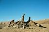 (c) Copyright - Raphael Kessler 2011 - Chile - Valle del Muerte - The Three Marias
