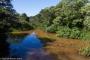 (c) Copyright - Raphael Kessler 2014 - Argentina - Iguazu - Caiman