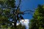 (c) Copyright - Raphael Kessler 2014 - Argentina - Iguazu