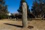 (c) Copyright - Raphael Kessler 2014 - Argentina - El Mollar menhir / huanca