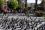 (c) Copyright - Raphael Kessler 2014 - Peru - Arequipa Plaza de Armas - Pigeons
