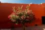 (c) Copyright - Raphael Kessler 2014 - Peru - Arequipa - Santa Catalina Convent