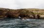 (c) Copyright - Raphael Kessler 2014 - Peru - Paracas - Ballestas Islands birds and arches