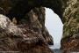 (c) Copyright - Raphael Kessler 2014 - Peru - Paracas - Ballestas Islands - Fur Seal 9