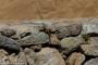 (c) Copyright - Raphael Kessler 2014 - Peru - Colca Canyon lizard
