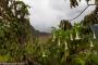 (c) Copyright - Raphael Kessler 2014 - Peru - Machu Picchu